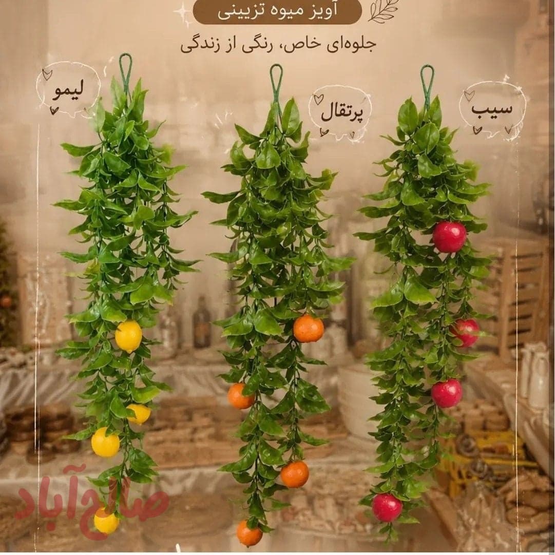 شمشاد میوه ای برگ پرتقالی