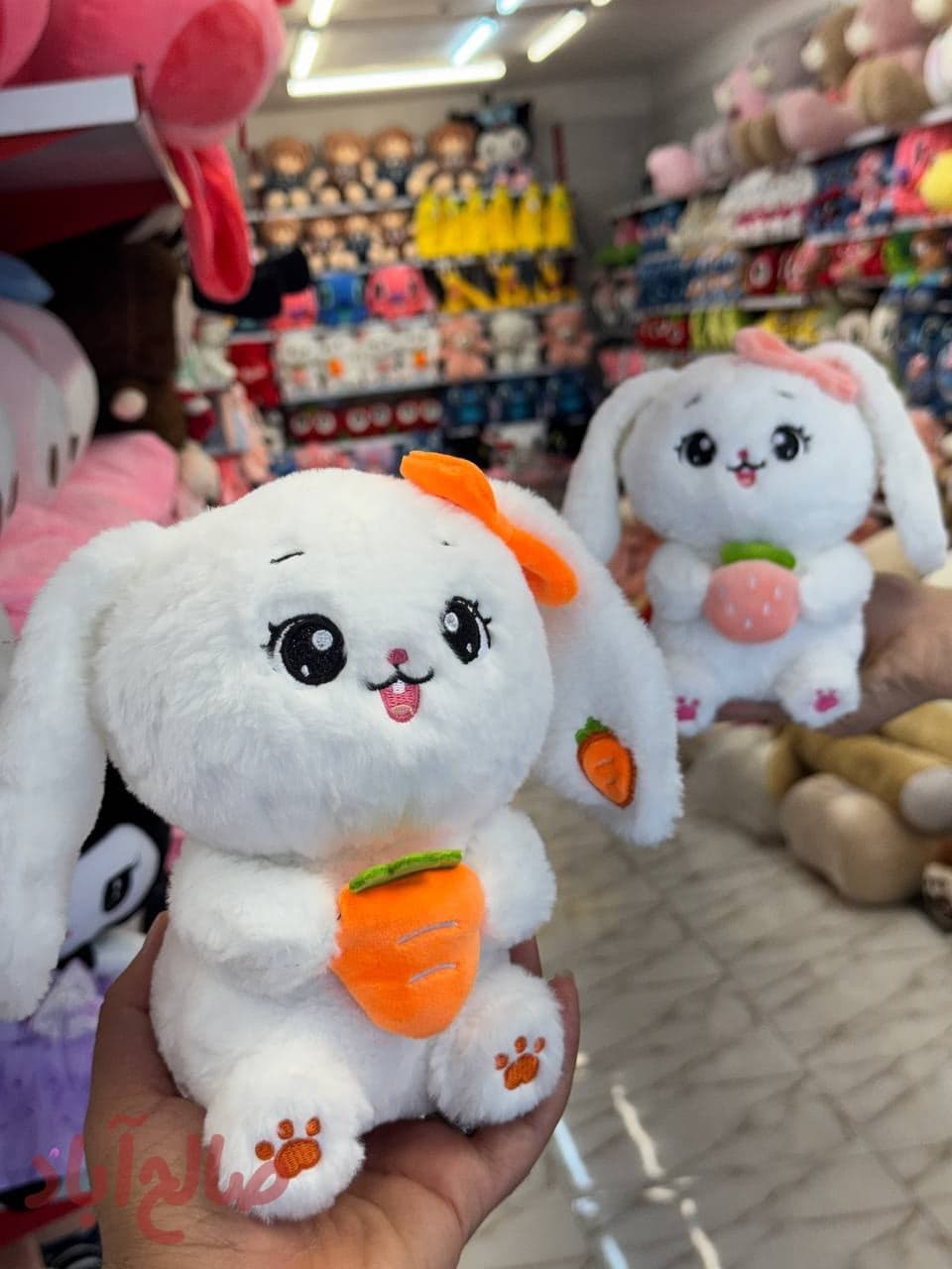 خرگوش هویج و توت فرنگی به دست