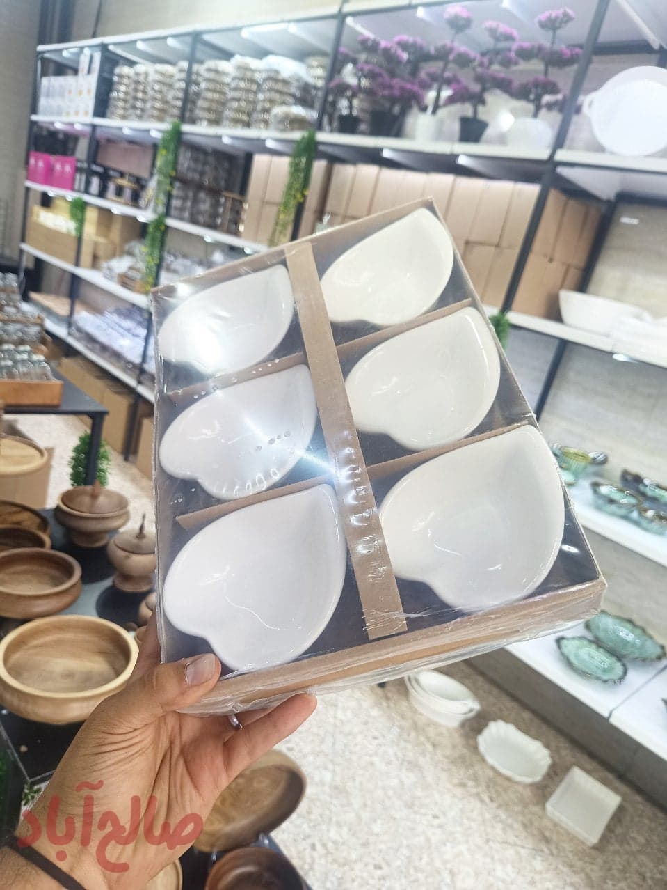 پیاله ۶ عددی کادویی