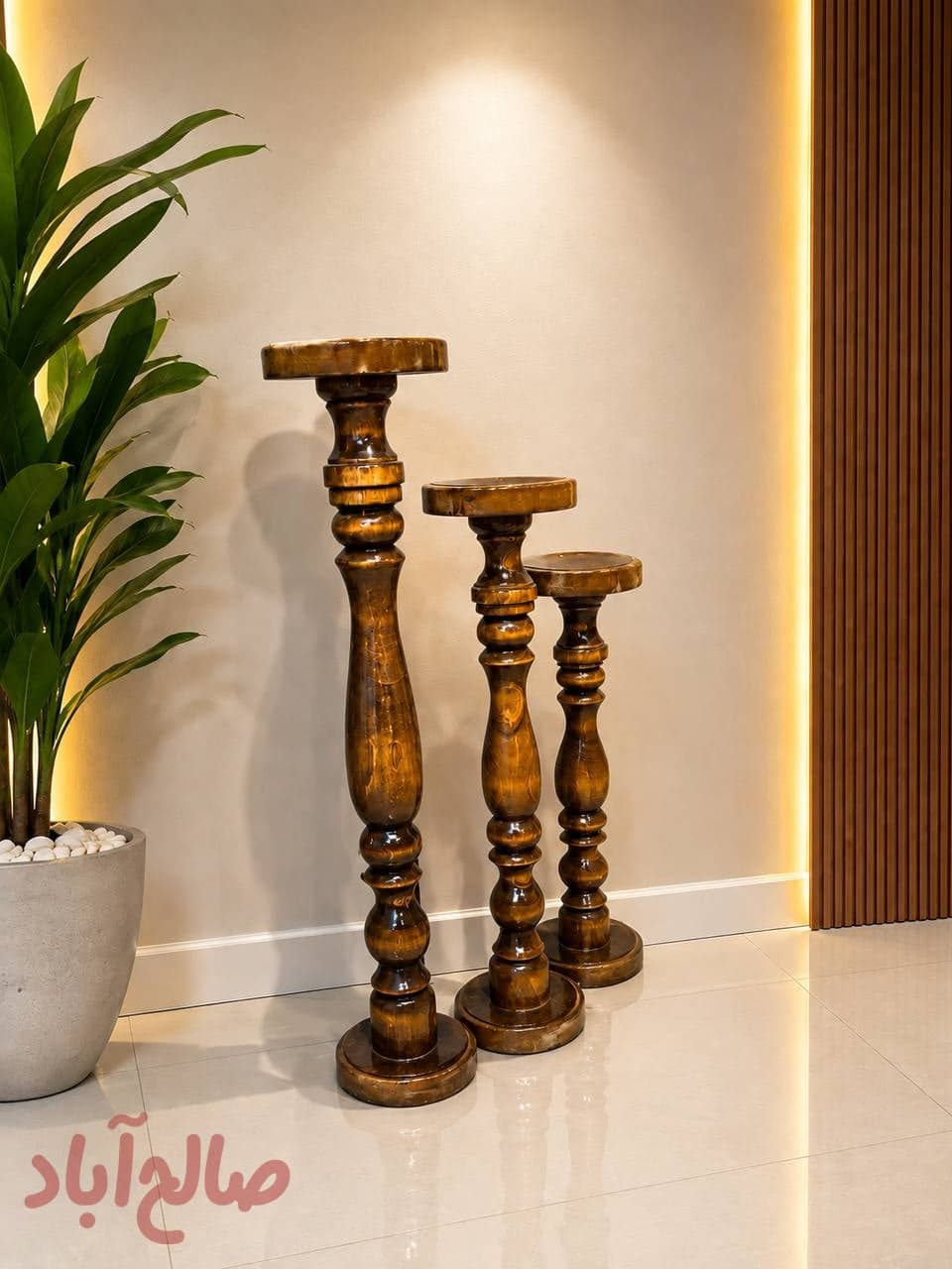 جاشعمی کنارسالنی